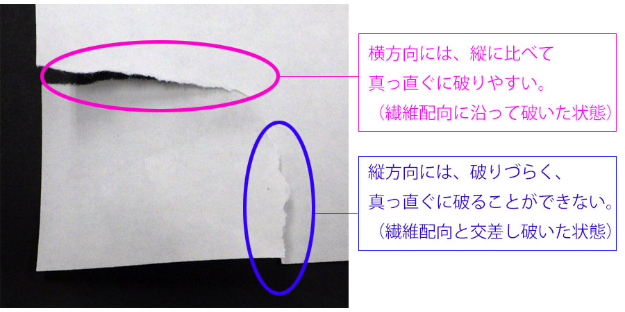 繊維配向と紙の性質 繊維配向と紙の性質